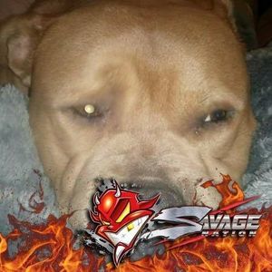 Meet your Posher, Mikey